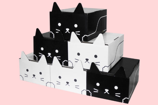 ネコ耳BOX（黒3枚・白3枚）6枚セット
