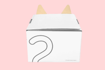 ネコ耳BOX（白）２枚
