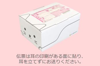 ネコ耳BOX（白）２枚