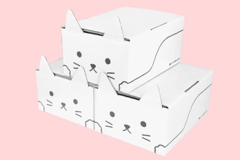 ネコ耳BOX（白）３枚