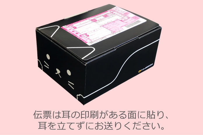 ネコ耳BOX（黒）・クイックフィットスーパーエコノ６（E/F）５枚セット