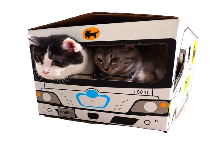 EVウォークスルーBOX　５枚