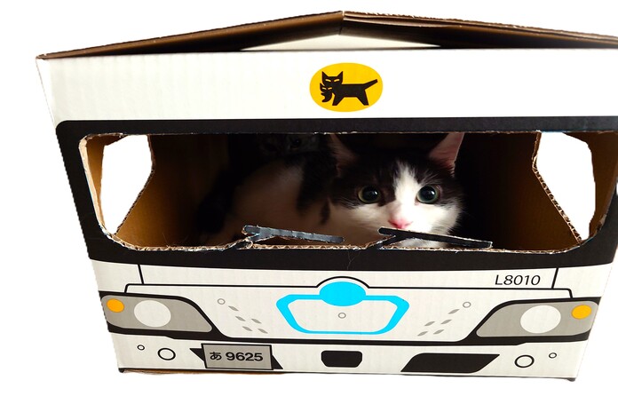 EVウォークスルーBOX　５枚