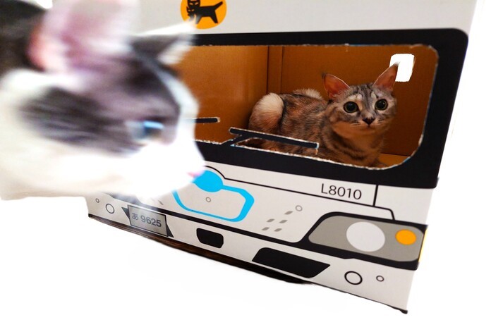 EVウォークスルーBOX　５枚
