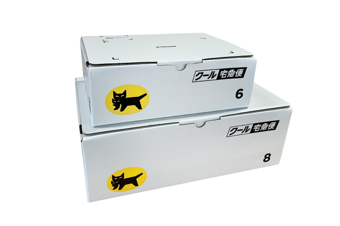 60サイズクール用BOX　50枚　[M608]