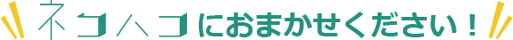 ネコハコにおまかせください！